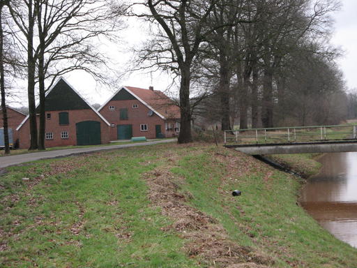 mainimage