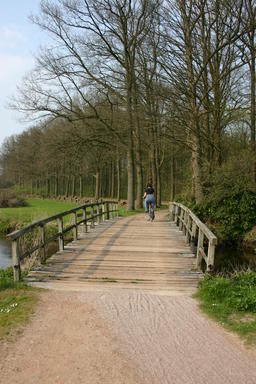 mainimage