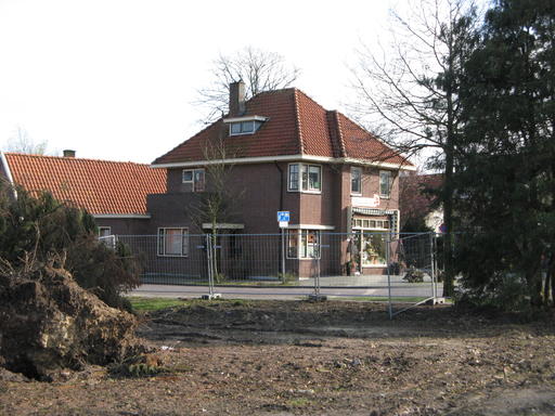 mainimage