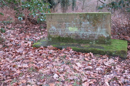 mainimage