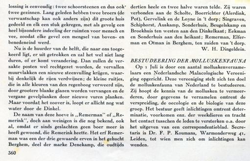 mainimage