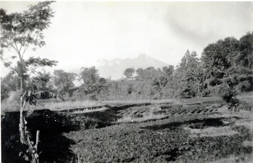 mainimage