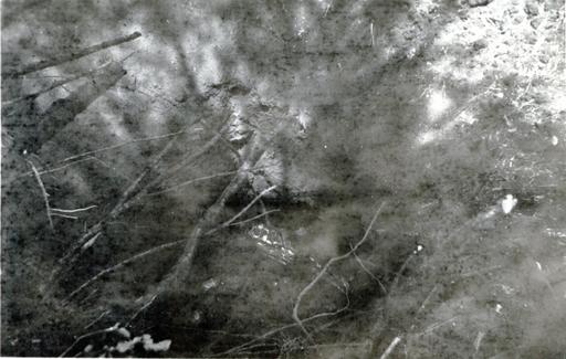 mainimage