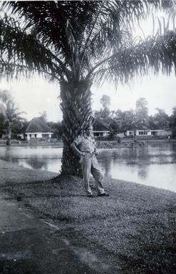 mainimage