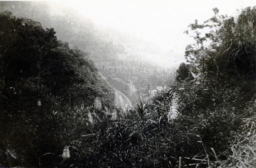 mainimage