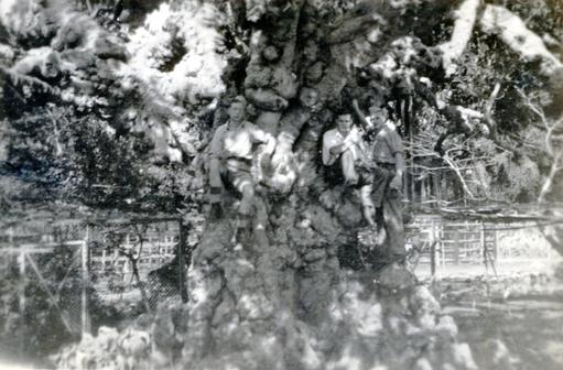 mainimage