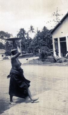 mainimage