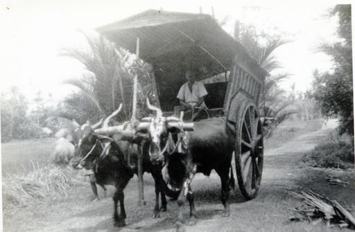 mainimage