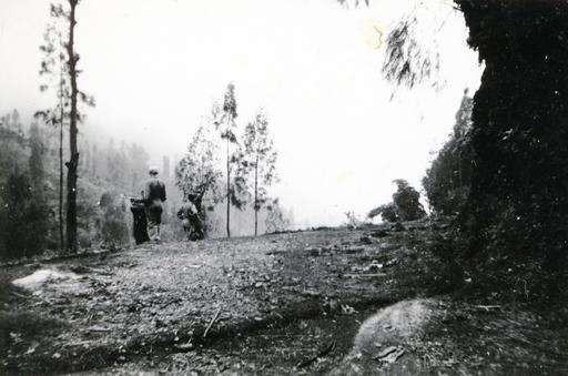 mainimage
