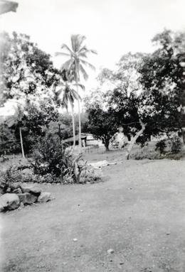 mainimage