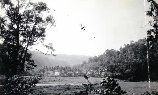 mainimage