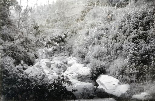 mainimage