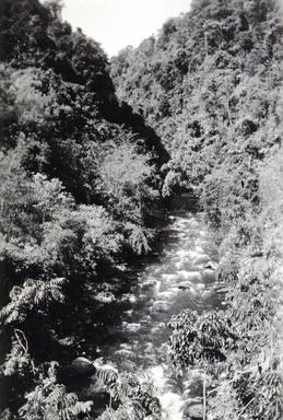 mainimage