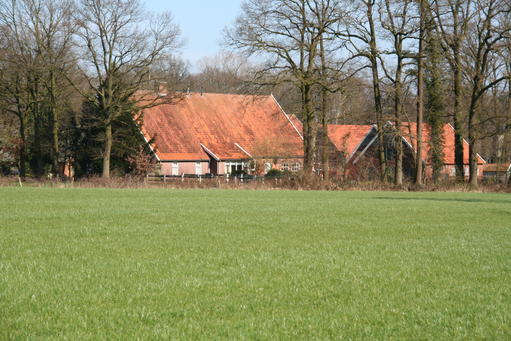 mainimage