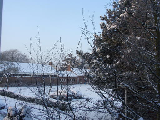 mainimage