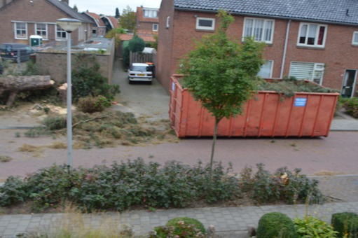 mainimage