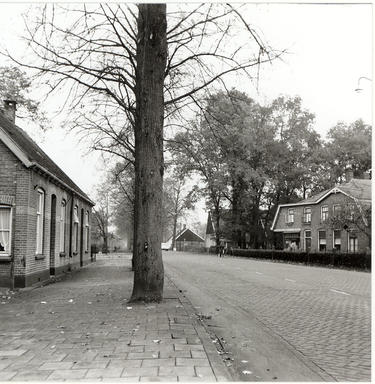 mainimage