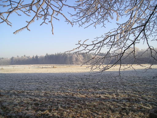 mainimage