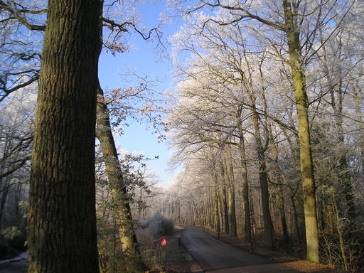 mainimage
