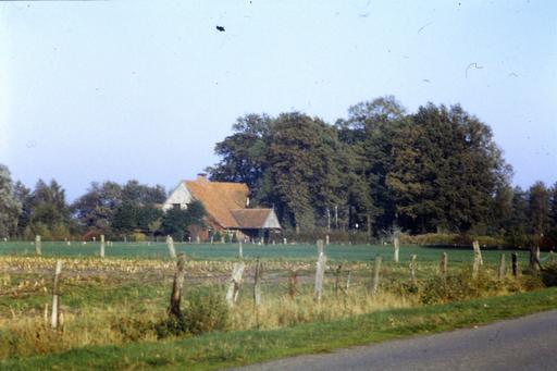 mainimage