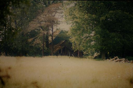 mainimage