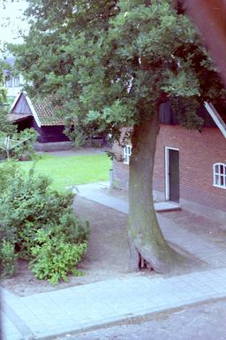 mainimage