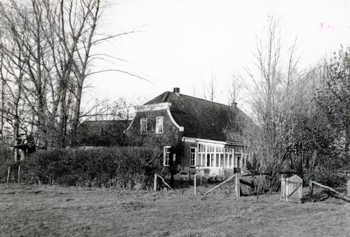 mainimage