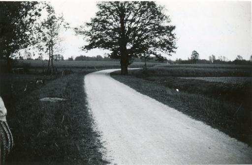 mainimage
