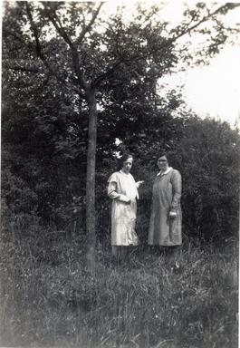 mainimage