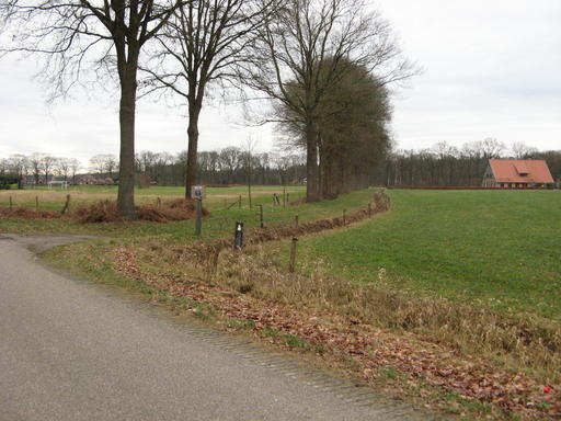 mainimage