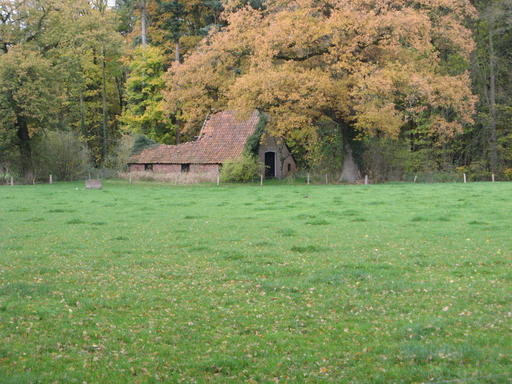 mainimage