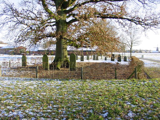 mainimage