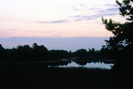 mainimage