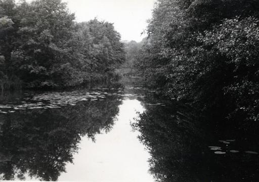 mainimage