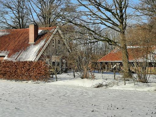 mainimage