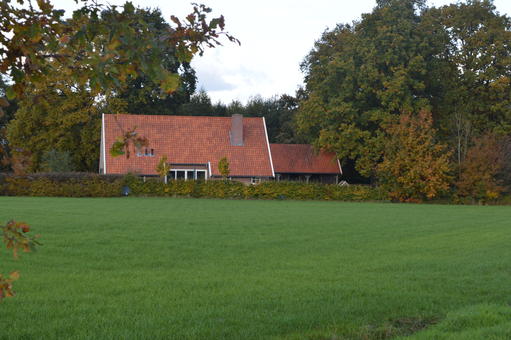 mainimage