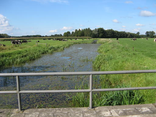 mainimage