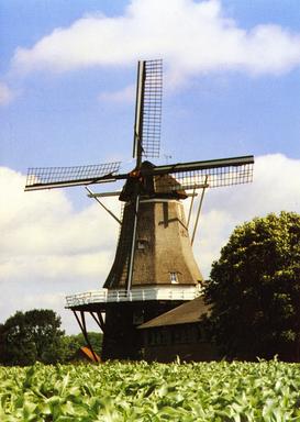 mainimage