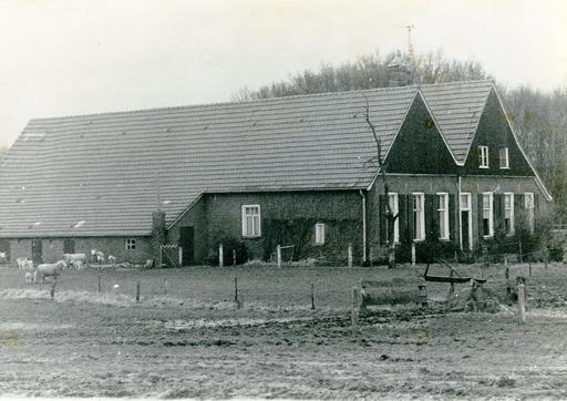 mainimage