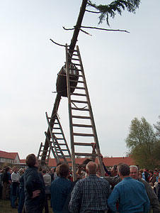 mainimage
