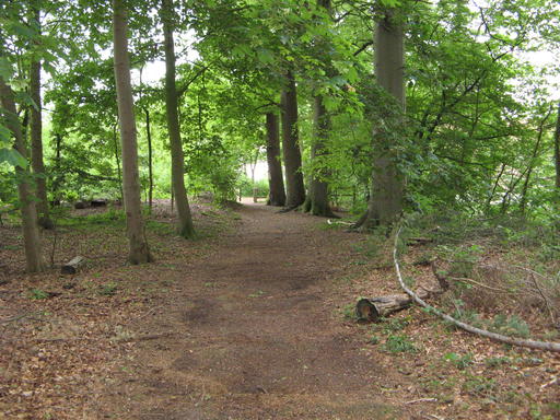 mainimage