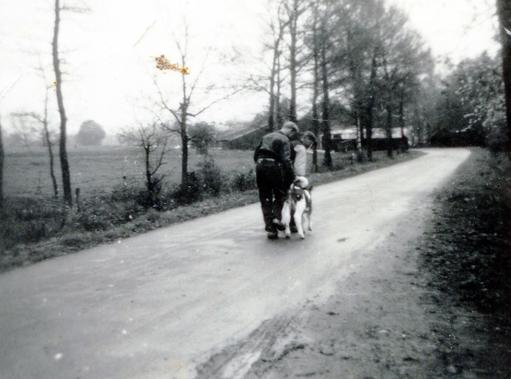 mainimage